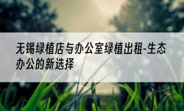 无锡绿植店与办公室绿植出租-生态办公的新选择