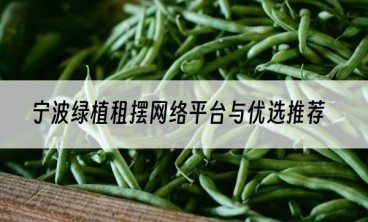 宁波绿植租摆网络平台与优选推荐