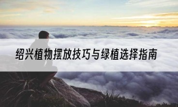 绍兴植物摆放技巧与绿植选择指南