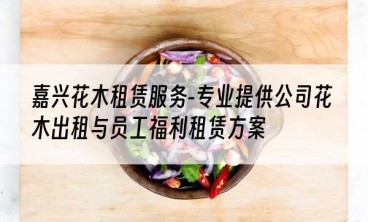 嘉兴花木租赁服务-专业提供公司花木出租与员工福利租赁方案