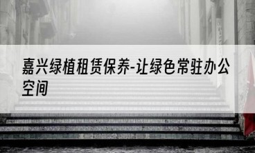 嘉兴绿植租赁保养-让绿色常驻办公空间