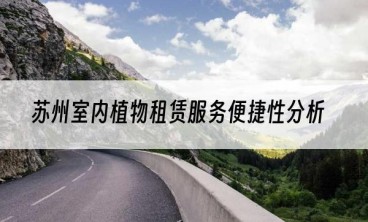 苏州室内植物租赁服务便捷性分析