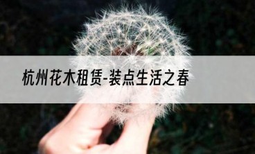 杭州花木租赁-装点生活之春