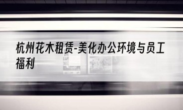杭州花木租赁-美化办公环境与员工福利