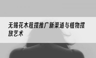 无锡花木租摆推广新渠道与植物摆放艺术
