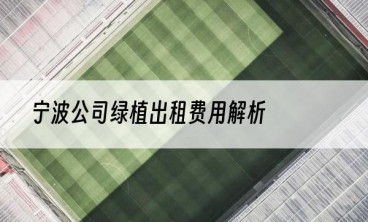 宁波公司绿植出租费用解析