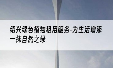 绍兴绿色植物租用服务-为生活增添一抹自然之绿