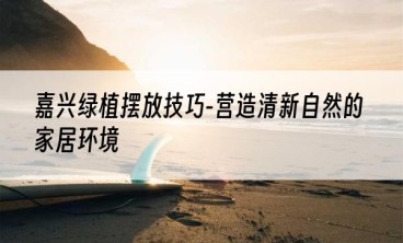 嘉兴绿植摆放技巧-营造清新自然的家居环境