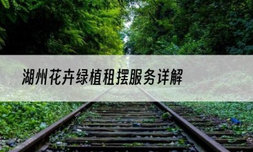 湖州花卉绿植租摆服务详解