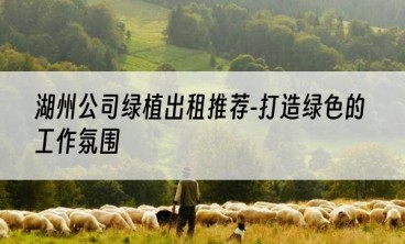 湖州公司绿植出租推荐-打造绿色的工作氛围