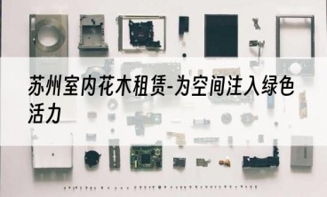 苏州室内花木租赁-为空间注入绿色活力