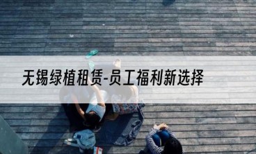无锡绿植租赁-员工福利新选择