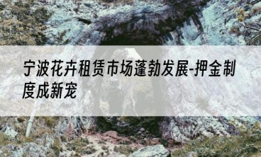 宁波花卉租赁市场蓬勃发展-押金制度成新宠