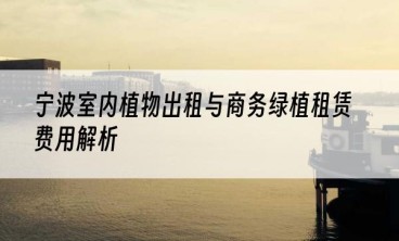 宁波室内植物出租与商务绿植租赁费用解析