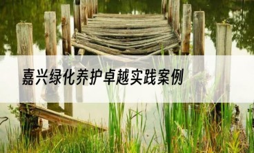 嘉兴绿化养护卓越实践案例