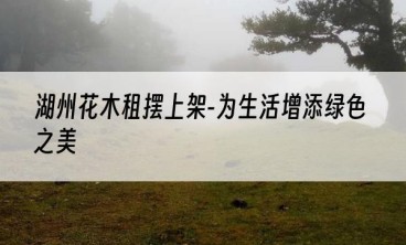 湖州花木租摆上架-为生活增添绿色之美