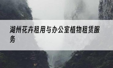 湖州花卉租用与办公室植物租赁服务