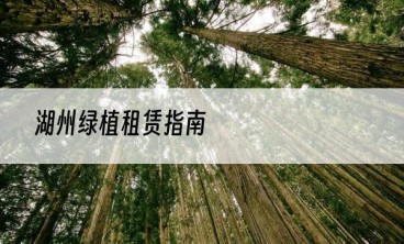 湖州绿植租赁指南