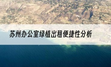 苏州办公室绿植出租便捷性分析