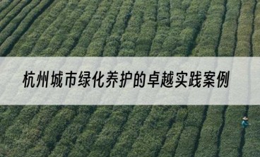 杭州城市绿化养护的卓越实践案例