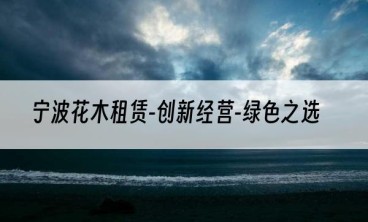 宁波花木租赁-创新经营-绿色之选