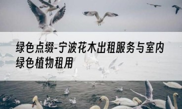 绿色点缀-宁波花木出租服务与室内绿色植物租用