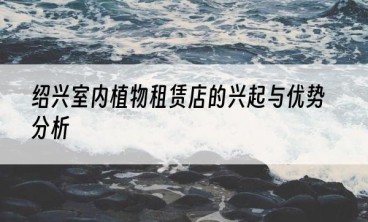 绍兴室内植物租赁店的兴起与优势分析