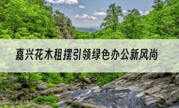 嘉兴花木租摆引领绿色办公新风尚