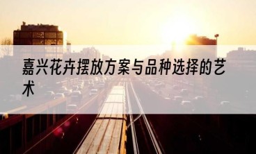嘉兴花卉摆放方案与品种选择的艺术