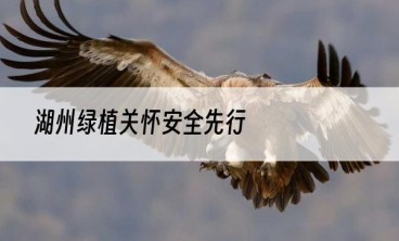 湖州绿植关怀安全先行