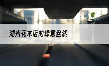 湖州花木店的绿意盎然