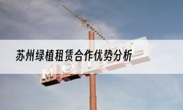 苏州绿植租赁合作优势分析