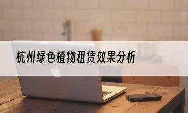 杭州绿色植物租赁效果分析