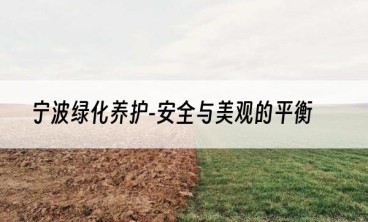 宁波绿化养护-安全与美观的平衡