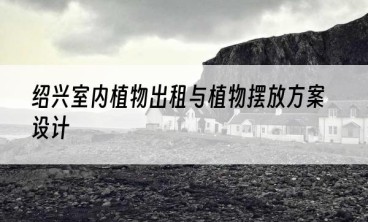 绍兴室内植物出租与植物摆放方案设计