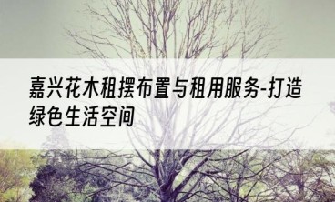 嘉兴花木租摆布置与租用服务-打造绿色生活空间