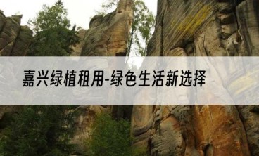 嘉兴绿植租用-绿色生活新选择