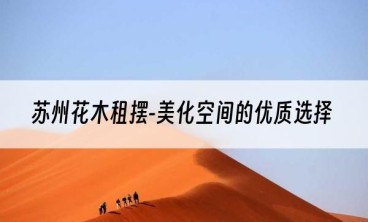 苏州花木租摆-美化空间的优质选择