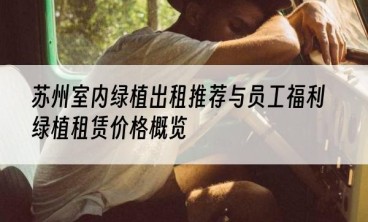 苏州室内绿植出租推荐与员工福利绿植租赁价格概览