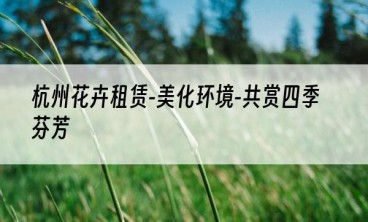 杭州花卉租赁-美化环境-共赏四季芬芳