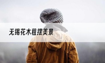 无锡花木租摆美景