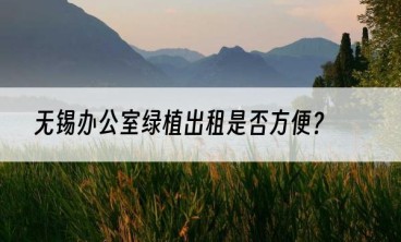 无锡办公室绿植出租是否方便？