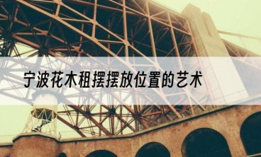 宁波花木租摆摆放位置的艺术