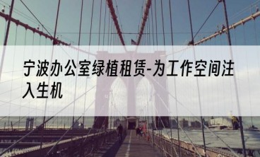 宁波办公室绿植租赁-为工作空间注入生机