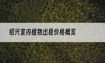 绍兴室内植物出租价格概览