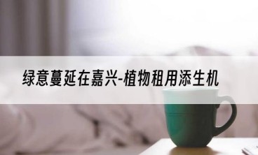 绿意蔓延在嘉兴-植物租用添生机