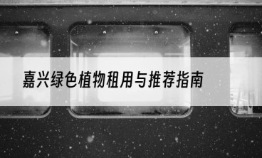 嘉兴绿色植物租用与推荐指南