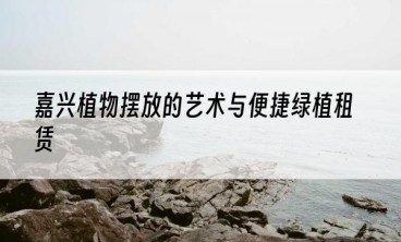 嘉兴植物摆放的艺术与便捷绿植租赁