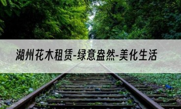 湖州花木租赁-绿意盎然-美化生活