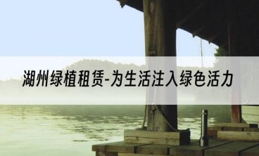 湖州绿植租赁-为生活注入绿色活力